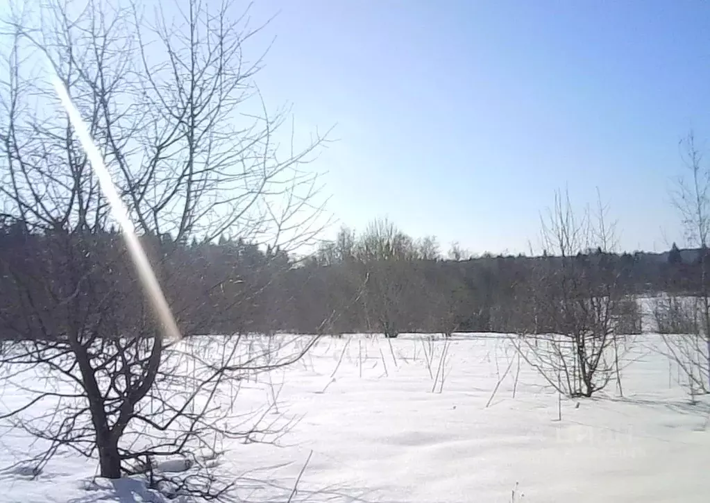 Участок в Московская область, Шаховская муниципальный округ, д. ... - Фото 1