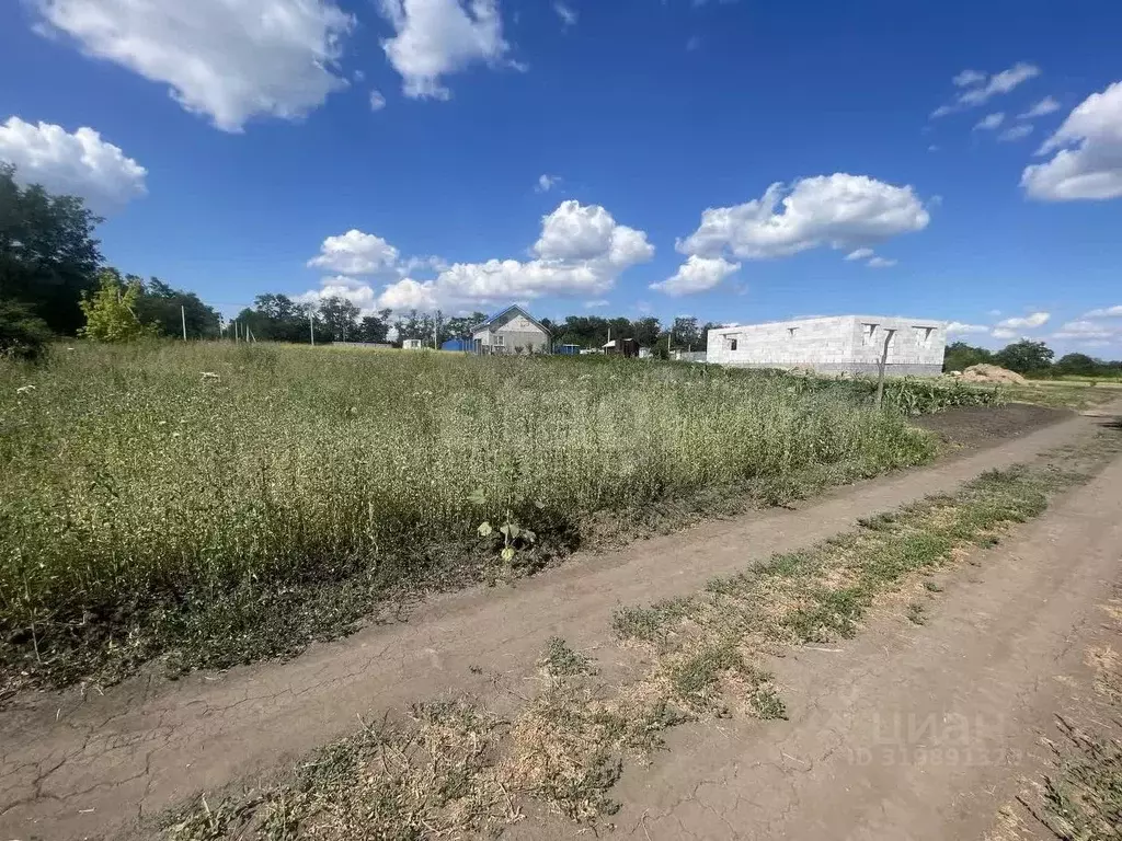 Участок в Белгородская область, Белгородский район, Разумное рп, ... - Фото 0