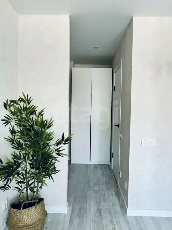 Студия Воронежская область, Воронеж ул. Переверткина, 43 (17.6 м) - Фото 0