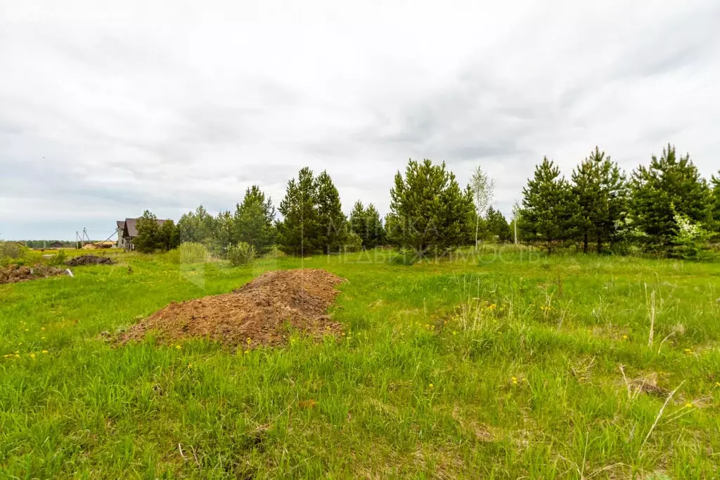 Участок в Тюменский муниципальный округ, деревня Елань, Васильковая ... - Фото 2