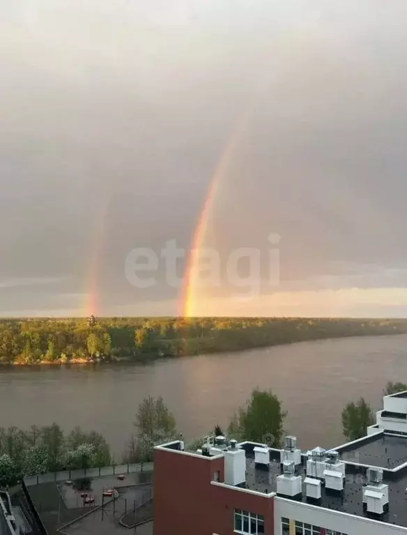 Студия Санкт-Петербург Усть-Славянка тер., просп. Советский, 36к2 ... - Фото 1