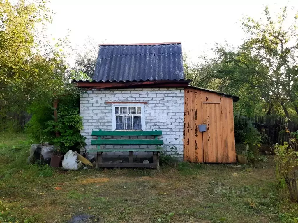 Дом в Брянская область, Брянский район, Снежское с/пос, с. Толмачево, ... - Фото 0