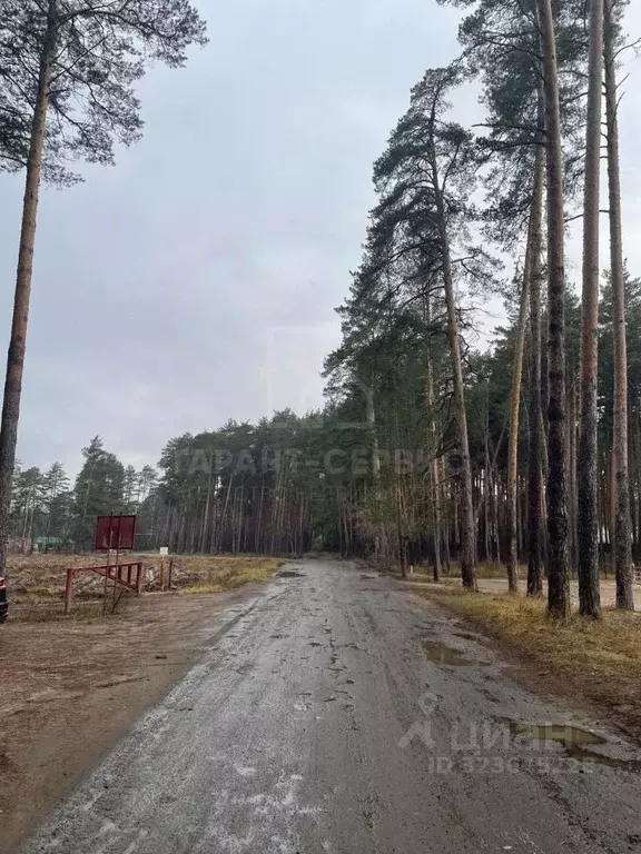 Участок в Тамбовская область, Тамбов Рассказовское ш. (14.57 сот.) - Фото 2
