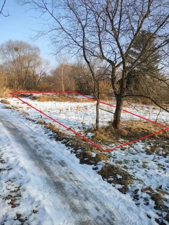 Участок в Приморский край, Надеждинский район, пос. Тавричанка  (11.0 ... - Фото 2