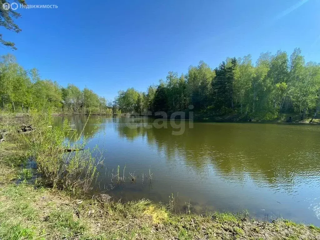 Участок в Барышевский сельсовет, садоводческое некоммерческое ... - Фото 1