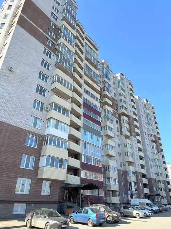 Студия Псковская область, Псков Техническая ул., 17 (25.6 м) - Фото 1