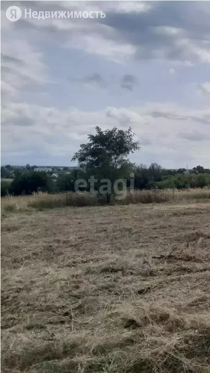 Купить Земельный Участок В Разумном Белгородского Района