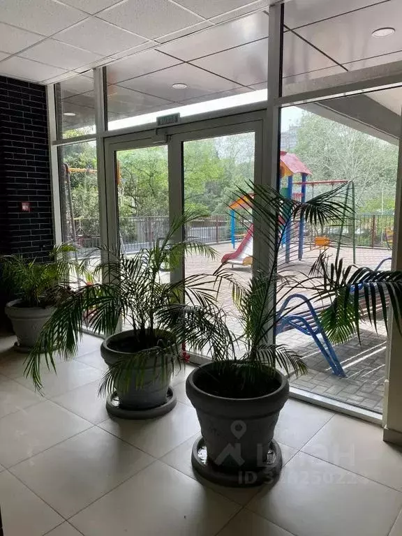 Студия Краснодарский край, Сочи ул. Полтавская, 21 (31.0 м) - Фото 2