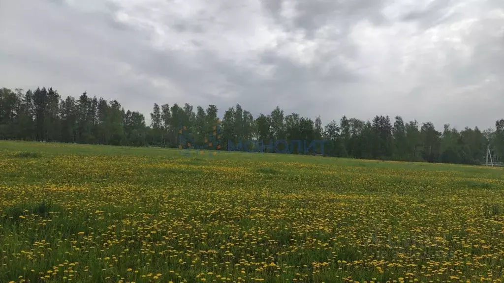 Участок в Нижегородская область, Богородский муниципальный округ, с. ... - Фото 1