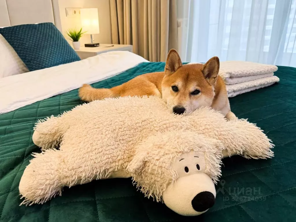 2-к кв. Москва Ходынский бул., 2 (57.0 м) - Фото 2