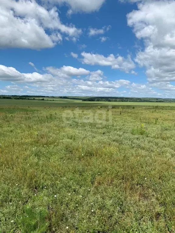 Участок в Липецкая область, Хлевенский район, Елец-Маланинский ... - Фото 0