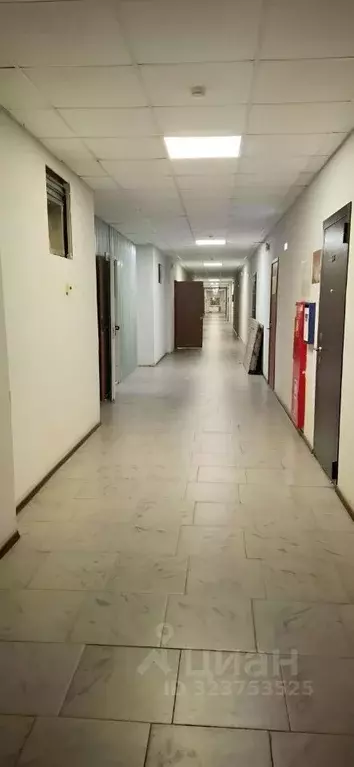 Офис в Ростовская область, Ростов-на-Дону Троллейбусная ул., 24/2в (19 ... - Фото 2