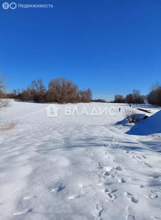 Участок в Московская область, муниципальный округ Шаховская, деревня ... - Фото 2