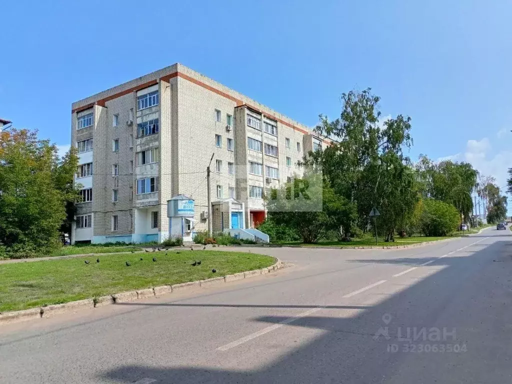 2-к кв. Татарстан, Казань ул. Лейтенанта Красикова, 15 (52.4 м) - Фото 2