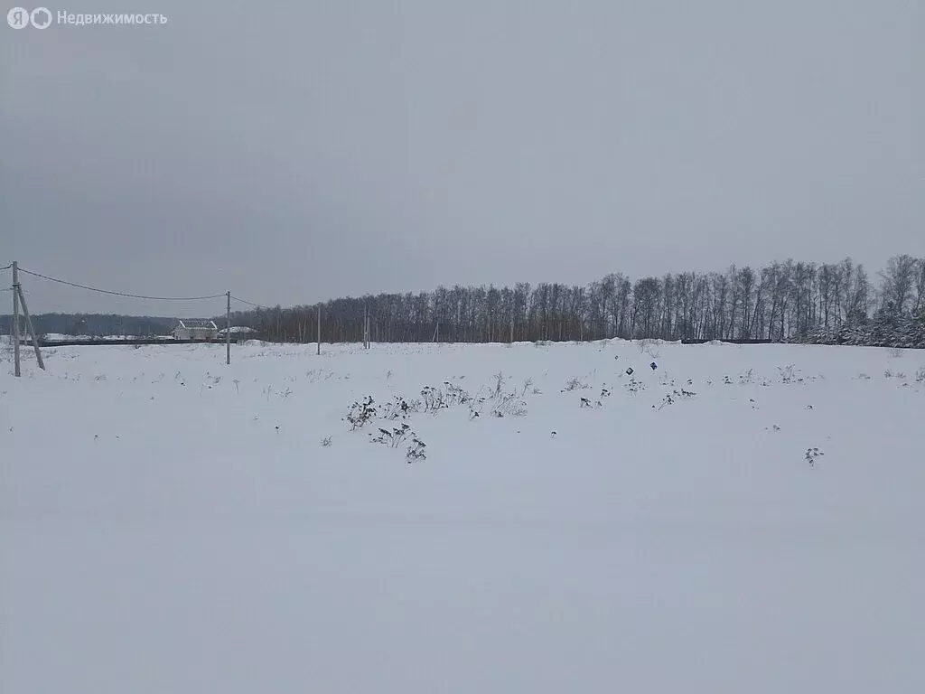 Участок в Тульская область, городской округ Тула, деревня Страхово (10 ... - Фото 1
