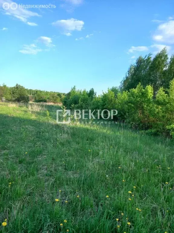 Участок в Ивановский район, Новоталицкое сельское поселение, деревня ... - Фото 0