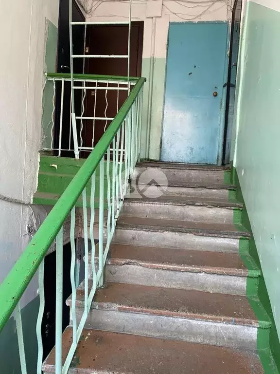 1-к кв. Новосибирская область, Новосибирск ул. Дмитрия Донского, 30/1 ... - Фото 1