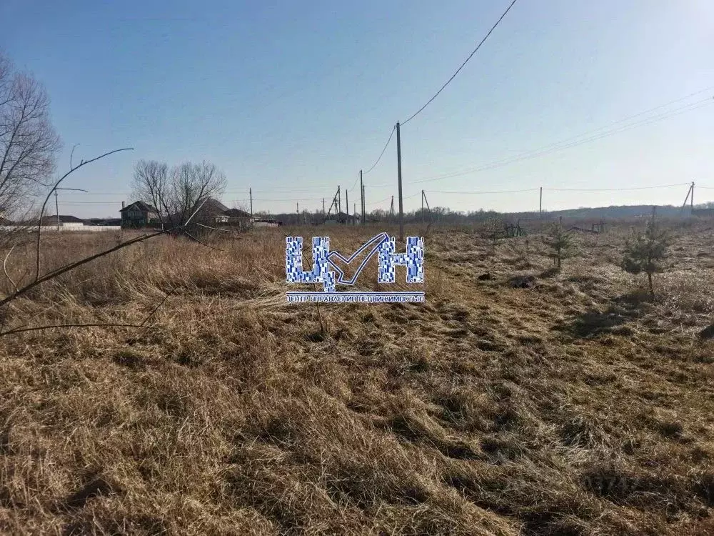 Участок в Курская область, Курский район, Моковский сельсовет, д. 2-я ... - Фото 2