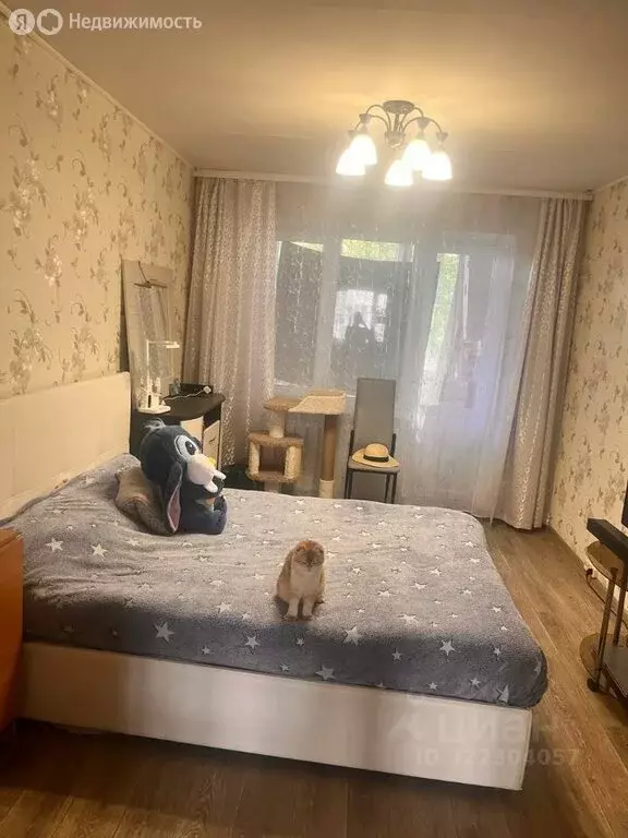 2-комнатная квартира: Новороссийск, Анапское шоссе, 64 (48 м) - Фото 1