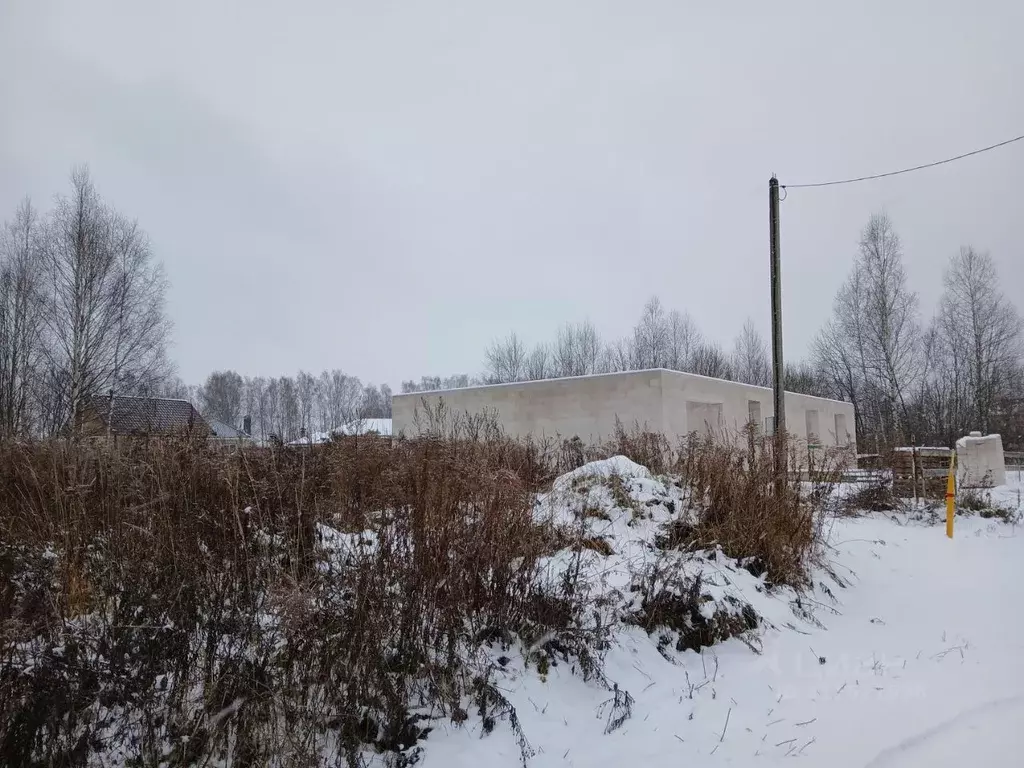 Участок в Нижегородская область, Богородский муниципальный округ, д. ... - Фото 1