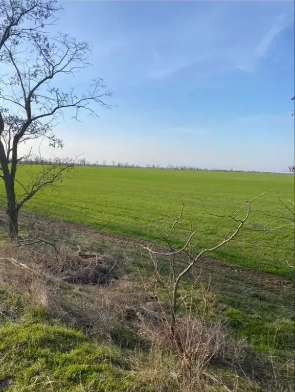 участок в крым, бахчисарайский район, песчановское с/пос, с. береговое . - Фото 0