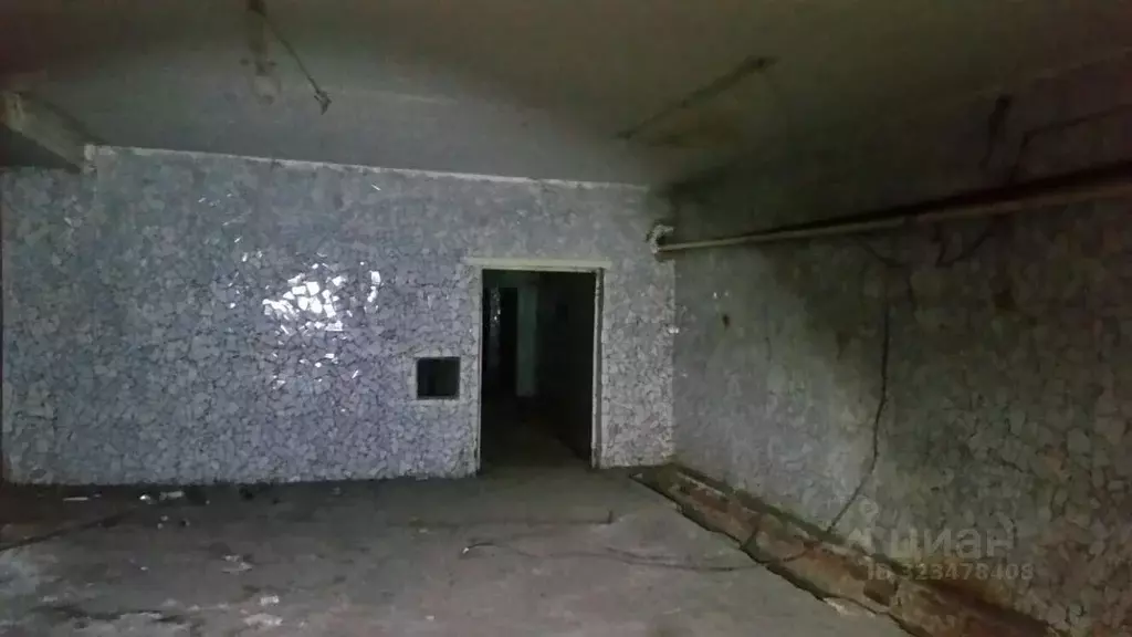 Помещение свободного назначения в Челябинская область, Челябинск ул. ... - Фото 1