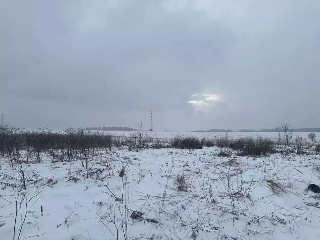 Участок в Московская область, Истра муниципальный округ, д. Филатово  ... - Фото 0