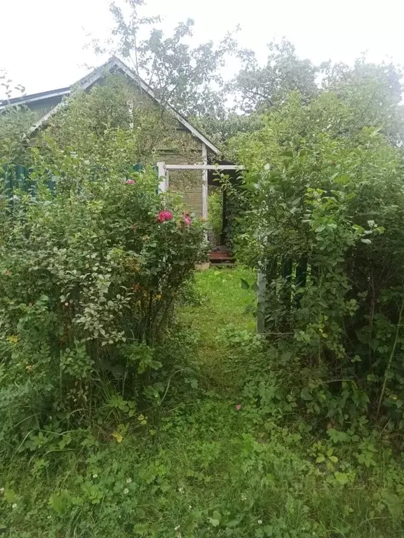 Дом в Московская область, Богородский городской округ, Луч СНТ  (50 м) - Фото 2