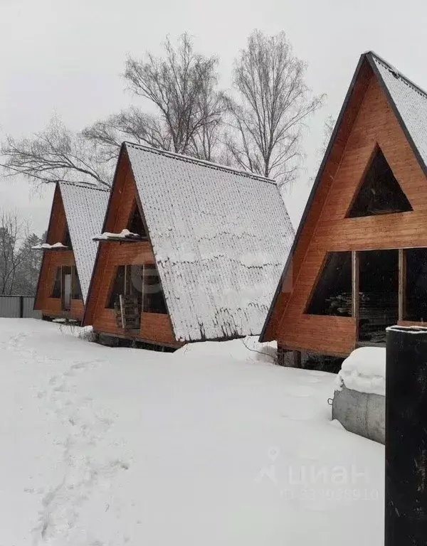 Дом в Алтай, Майминский район, Соузгинское с/пос, пос. Турбаза Юность ... - Фото 1