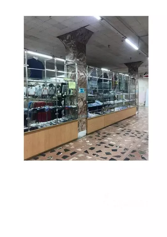 Помещение свободного назначения в Новосибирская область, Новосибирский ... - Фото 1