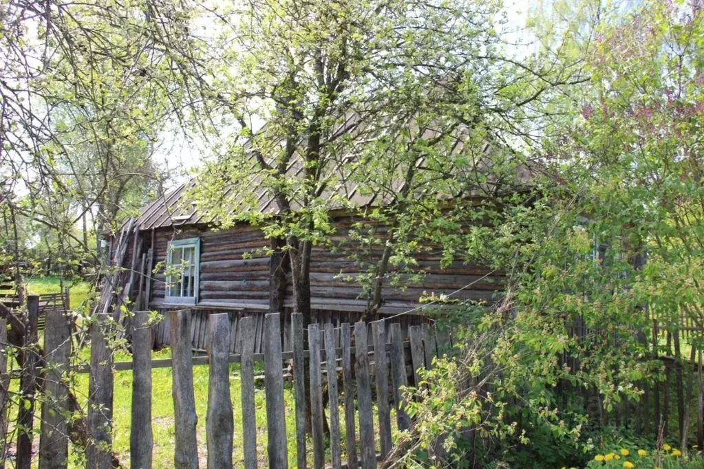 Дом в Тверская область, Западная Двина Текстильная ул., 9 (40 м) - Фото 1