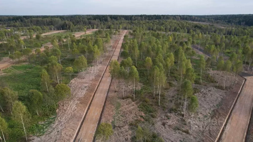 Участок в Московская область, Солнечногорск Октябрьская ул. (8.22 ... - Фото 1