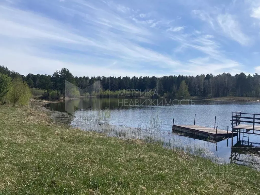 Участок в Тюменская область, Тюменский муниципальный округ, д. Ушакова ... - Фото 2