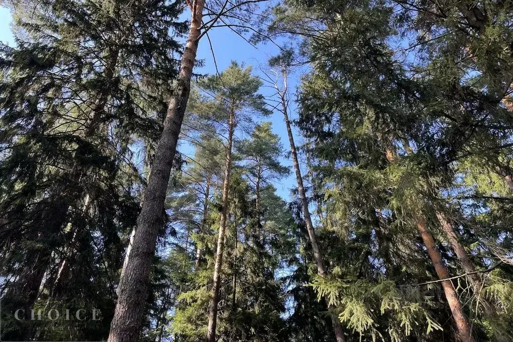 Участок в Московская область, Одинцовский городской округ, пос. дома ... - Фото 0