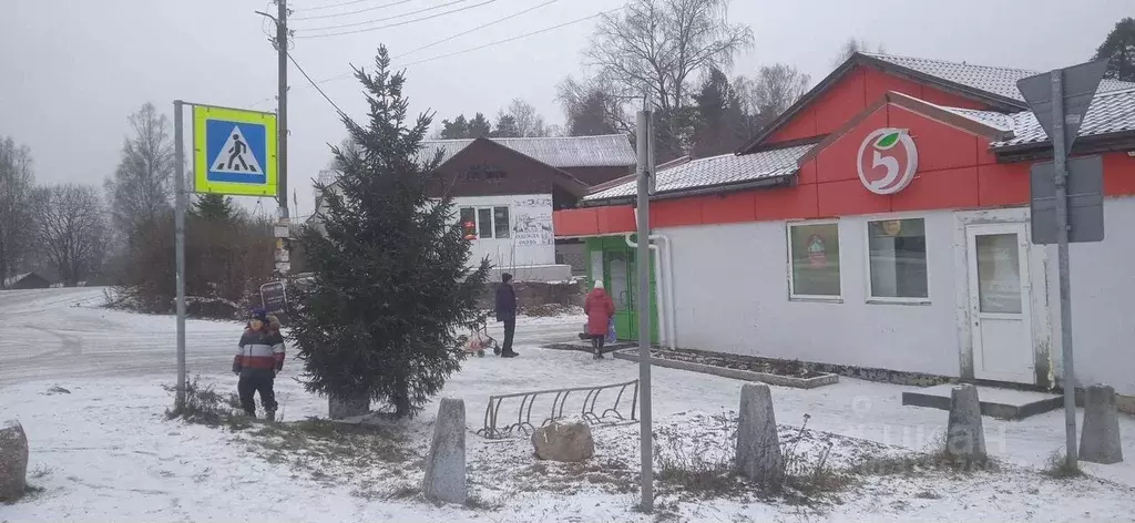 Помещение свободного назначения в Ленинградская область, Приозерский ... - Фото 1