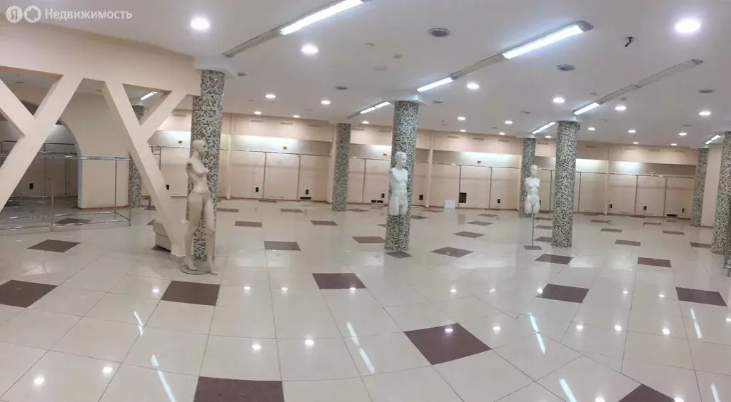 Помещение свободного назначения (555.8 м) - Фото 0