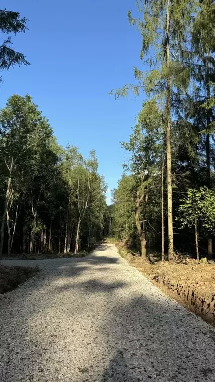 Участок в Московская область, Дмитровский муниципальный округ, д. ... - Фото 1
