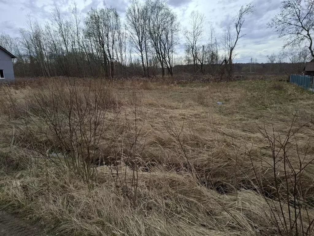 Участок в Калининградская область, Гурьевский муниципальный округ, ... - Фото 1