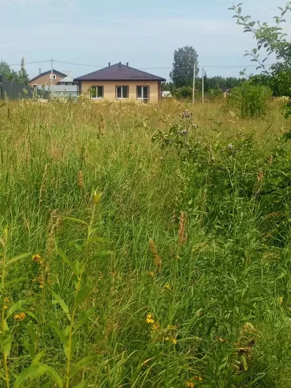 Участок в Кировская область, Слободской район, Шиховское с/пос, д. ... - Фото 1
