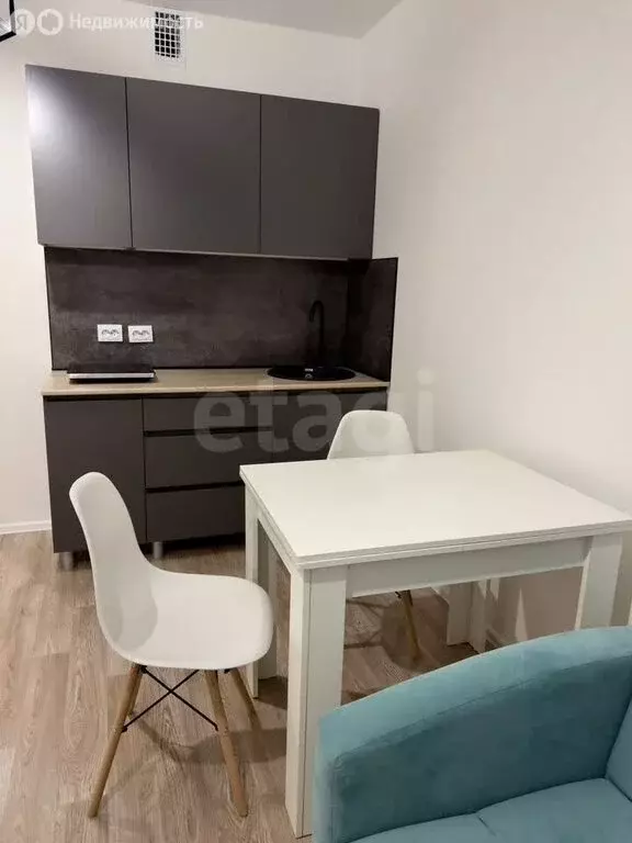 Квартира-студия: Санкт-Петербург, Муринская дорога, 27к3 (19.7 м) - Фото 2