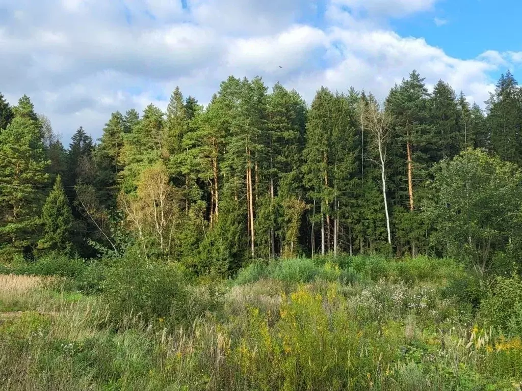 Участок в Калужская область, Боровский муниципальный округ, д. Шилово  ... - Фото 1
