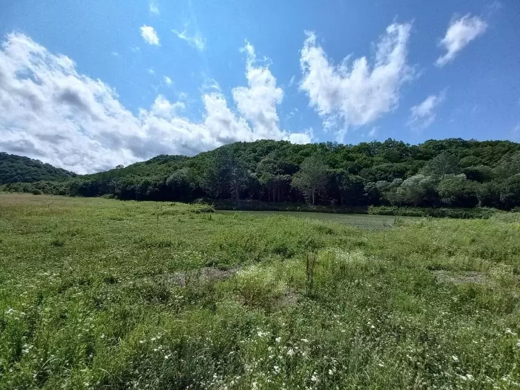 Участок в Краснодарский край, Туапсинский муниципальный округ, пос. ... - Фото 1