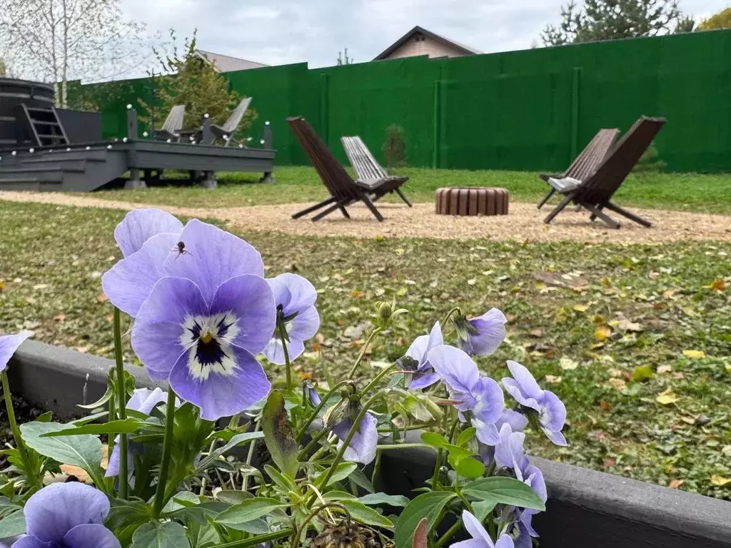 Дом в Владимирская область, Александровский муниципальный округ, ... - Фото 2