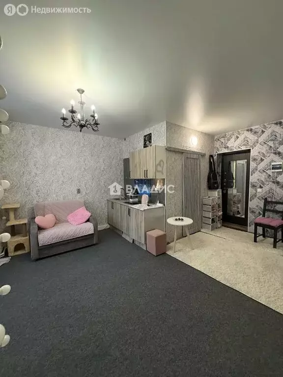 Квартира-студия: деревня Новая Купавна, 5 (23.8 м) - Фото 2
