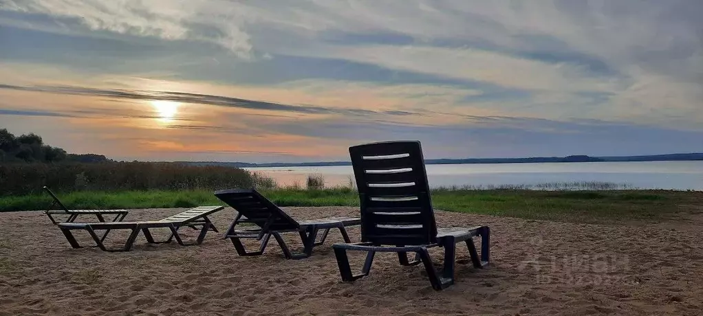 Участок в Московская область, Рузский муниципальный округ, д. ... - Фото 1