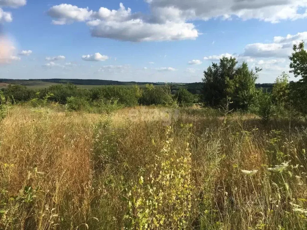 Участок в Белгородская область, Губкинский городской округ, с. Осколец ... - Фото 1