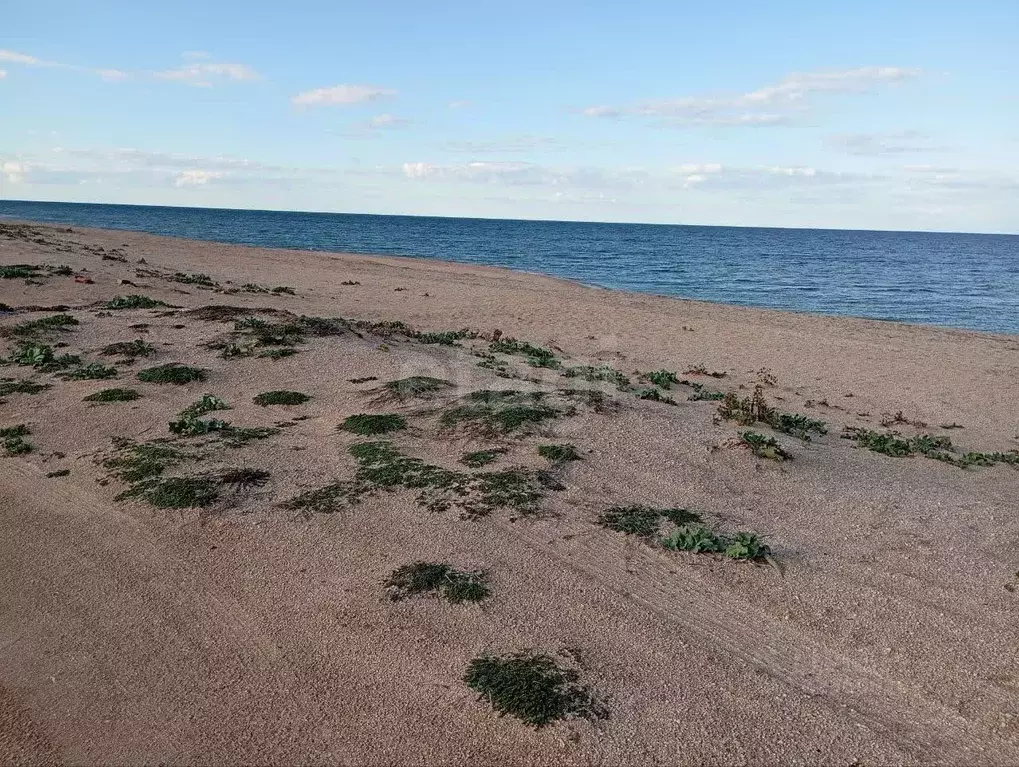 Участок в Крым, Ленинский район, Семисотское с/пос, с. Соляное ул. ... - Фото 1