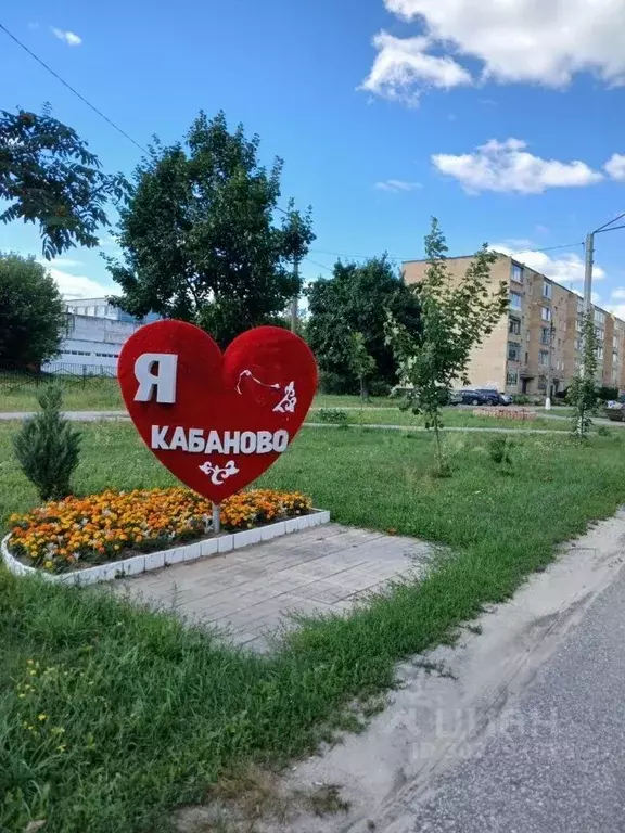 1-к кв. московская область, орехово-зуевский городской округ, д. . - Фото 0