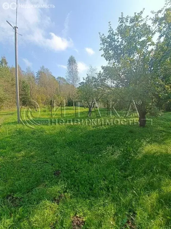 Участок в Опольевское сельское поселение, садоводческое некоммерческое ... - Фото 1