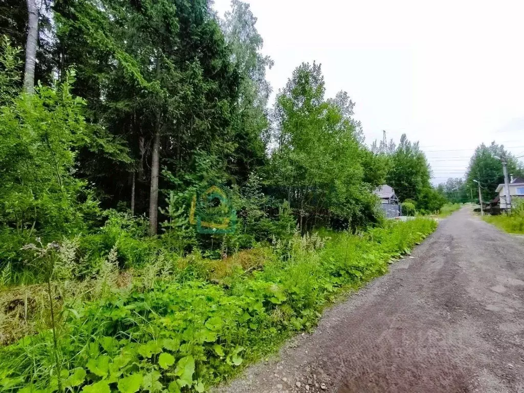 Участок в Ленинградская область, Сертолово Всеволожский район, Слобода ... - Фото 1